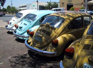 A row of Beetles for sale on the lot.